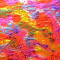 Premium Holographic Print Wall Art