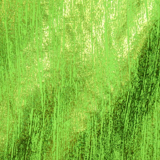 Premium Holographic Print Wall Art