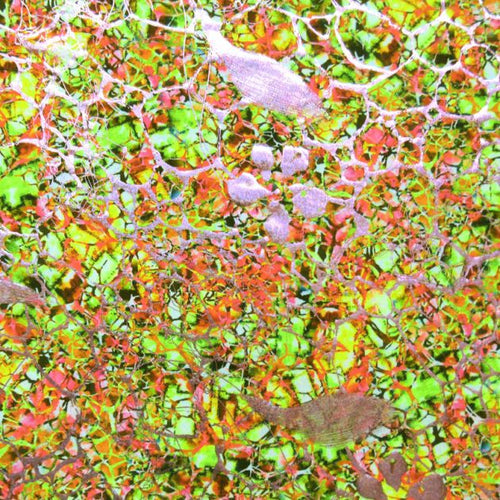 Premium Holographic Print Wall Art
