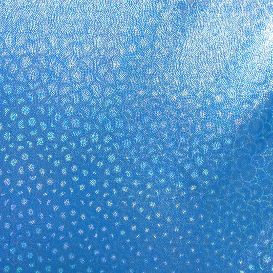 Premium Holographic Print Wall Art