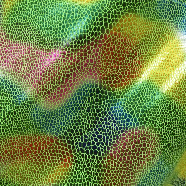 Premium Holographic Print Wall Art