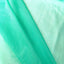 Green Solid Nylon Mesh Fabric (Sheer Mesh)
