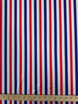1/2 Inch Verticle Stripes (Shiny)