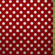 Circus/Polka Dot