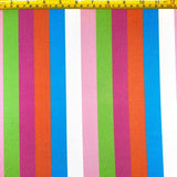 1 Inch Vertical Stripe (Shiny)