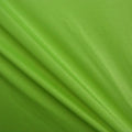 44-Milliskin Shiny - Moss Green