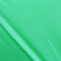 41-Milliskin Shiny - Mint Green