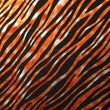 Metallic Mesh Fabric with Foil Finish