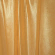 Metallic Mesh Fabric with Foil Finish