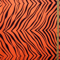 Zebra Print