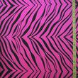 Zebra Print
