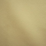 Perforated Pleather