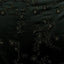 Printed Mesh