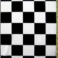 Checker