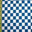 Checker