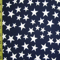 Star Print