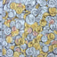 Coins