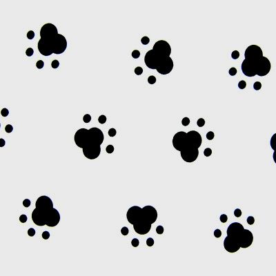 Dog Paws