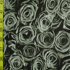 Rose / Floral Print
