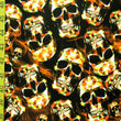 Skulls