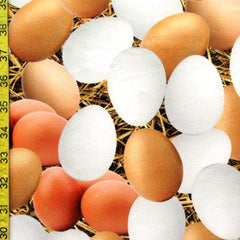 Eggs