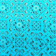 Bandana Print Spandex Fabric