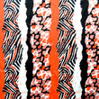 Abstract Animal