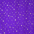 Glitter Velvet