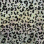 Leopard Print