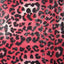 Leopard Print