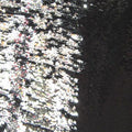 Reversible Sequins