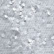 Reversible Sequins