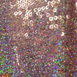 Sequin on Mesh