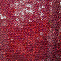 Sequins on Mesh