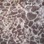 Stretch Sequins