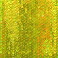 Sequins on Mesh