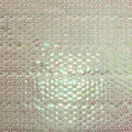 Iridescent Sequins