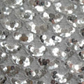Sequins