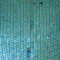 Stretch Sequins