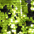 Reversible Sequins