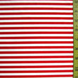 1/4 Inch Horizontal Stripe (Shiny)