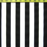 1 Inch Vertical Stripe (Shiny)