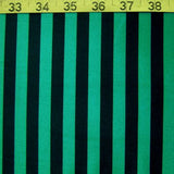 1/2 Inch Vertical Stripe (Shiny)