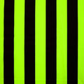1 inch Vertical Stripe (Matte)