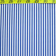 1/8 inch Vertical Stripe (Shiny)