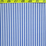 1/8 inch Vertical Stripe (Shiny)
