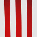 2 inch Vertical Stripe (Matte)