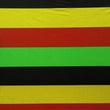 2'' Inch Horizontal Stripe (Matte)