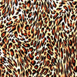 Animal Print- Printed Velvet