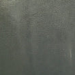 Crocodile Skin